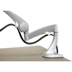 Ergotron Neo Flex LCD Arm 55,9 cm (22") Argento