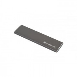 Transcend ESD250C 960 GB Grigio