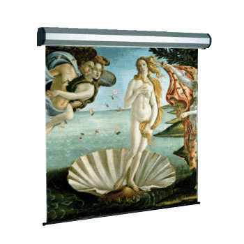 Sopar Electric professional...