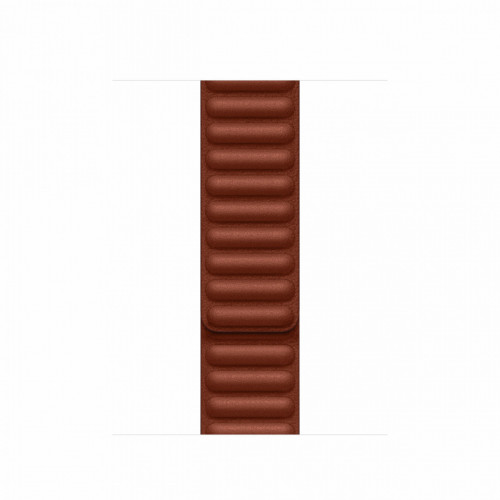 Apple MP823ZM/A accessorio indossabile...