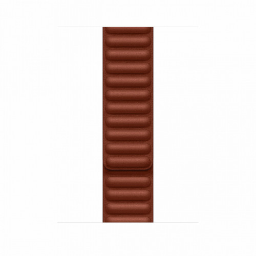 Apple MP863ZM/A accessorio indossabile...