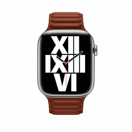 Apple MP863ZM/A accessorio indossabile...