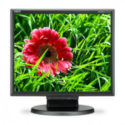 NEC MultiSync E171M 43,2 cm (17") 1280 x 1024 Pixel SXGA LED Nero