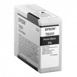 Epson Singlepack Photo Black T850100