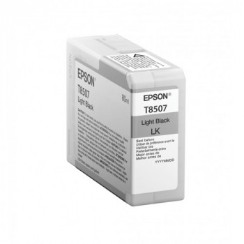 Epson Singlepack Light...