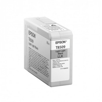 Epson Singlepack Light...