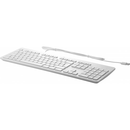 HP Tastiera sottile USB Business (grigio)