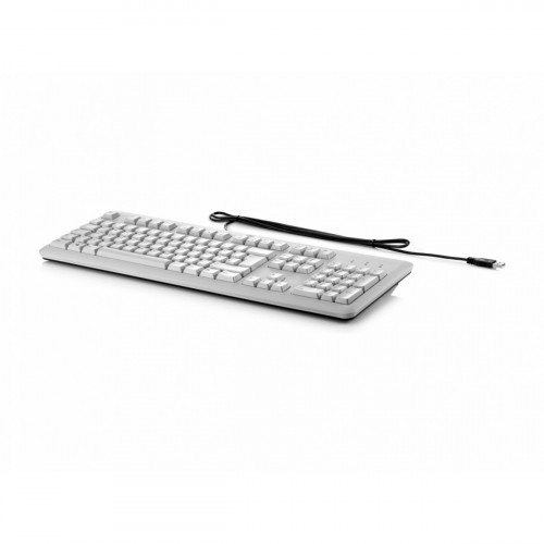 HP Tastiera sottile USB Business (grigio)