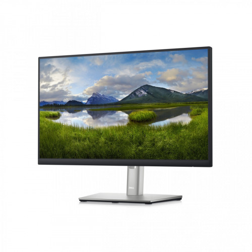 DELL P2222H 54,6 cm (21.5") 1920 x 1080 Pixel...
