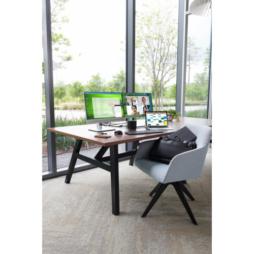 HP Mouse wireless Premium