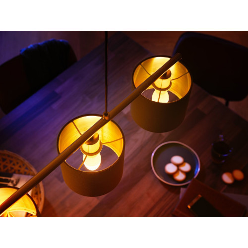 Philips Hue White ambiance Lampadina singola E14