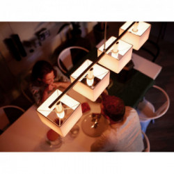 Philips Hue White ambiance Lampadina singola E14