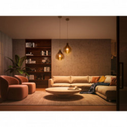 Philips Hue White ambiance E27 - confezione da 1