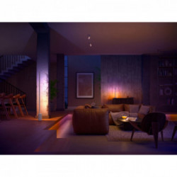 Philips Hue White and Color ambiance Estensione da 1 metro per Gradient Lightstrip