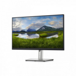 DELL P Series P2423D 60,5 cm (23.8") 2560 x 1440 Pixel Quad HD LCD Nero, Argento
