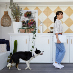 HP EliteBook 630 G9 i5-1235U Computer portatile 33,8 cm (13.3") Full HD Intel® Core™ i5 8 GB DDR4-SDRAM 256 GB SSD Wi-Fi 6E