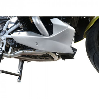 Scarico GPR Bmw R 1250 R -...