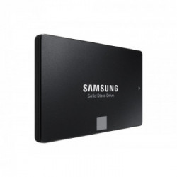 Samsung 870 EVO 1000 GB Nero