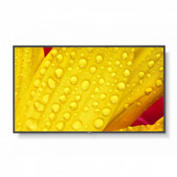 NEC MultiSync ME431 Pannello piatto per segnaletica digitale 109,2 cm (43") IPS 4K Ultra HD Nero
