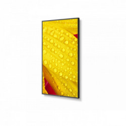 NEC MultiSync ME501 Pannello piatto per segnaletica digitale 127 cm (50") VA 4K Ultra HD Nero