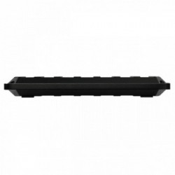 Western Digital P50 4000 GB Nero