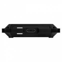 Western Digital P50 4000 GB Nero