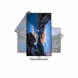 DELL UltraSharp U2422H 61 cm (24") 1920 x 1080 Pixel Full HD LCD Nero, Argento