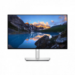 DELL UltraSharp U2422HE 61 cm (24") 1920 x 1080 Pixel Full HD LCD Nero, Argento