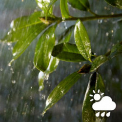 Philips Hue White and Color ambiance Lightstrip da esterni 5 metri