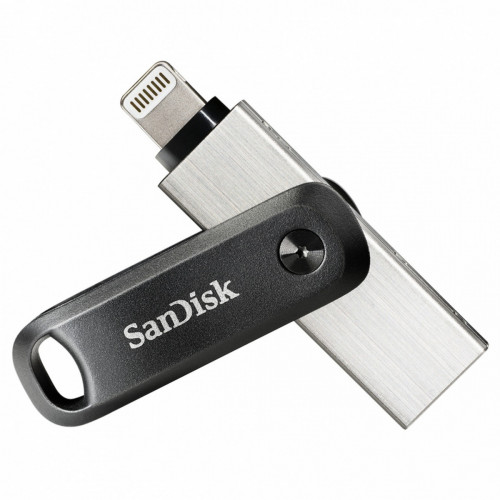 SanDisk SDIX60N-256G-GN6NE unità flash USB 256...