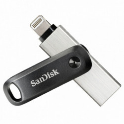 SanDisk SDIX60N-256G-GN6NE unità flash USB 256 GB 3.2 Gen 1 (3.1 Gen 1) Grigio, Argento