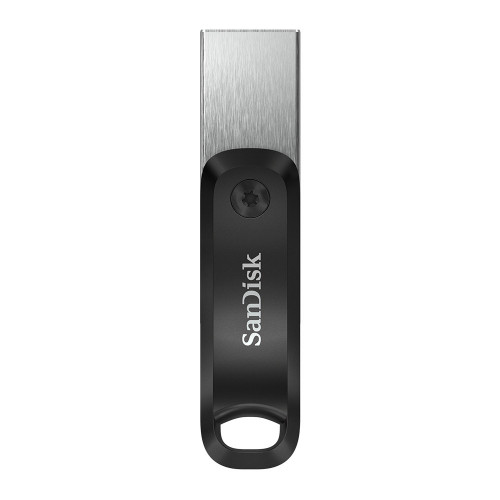 SanDisk SDIX60N-256G-GN6NE unità flash USB 256...