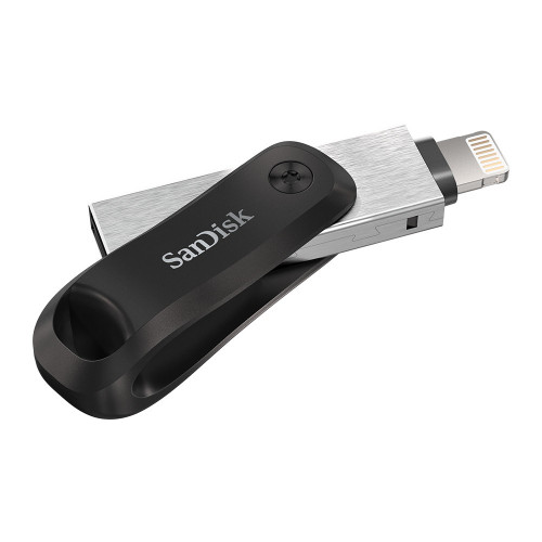 SanDisk SDIX60N-256G-GN6NE unità flash USB 256...