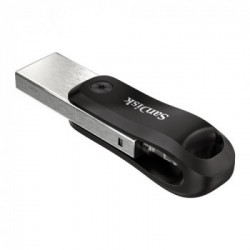 SanDisk SDIX60N-256G-GN6NE unità flash USB 256 GB 3.2 Gen 1 (3.1 Gen 1) Grigio, Argento