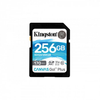 Kingston Technology Canvas...