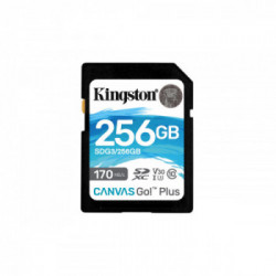 Kingston Technology Canvas Go! Plus memoria flash 256 GB SD UHS-I Classe 10