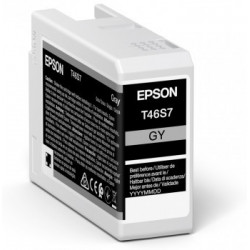 Epson UltraChrome Pro 1 pezzo(i) Originale Grigio
