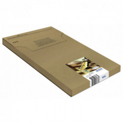 Epson Pen and crossword Multipack Penna e cruciverba 4 colori Inchiostri DURABrite Ultra 16XL in confezione EasyMail Packaging