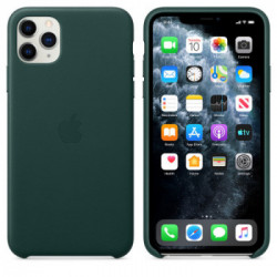 Apple MX0C2ZM/A custodia per cellulare 16,5 cm (6.5") Cover Verde