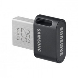 Samsung FIT Plus unità flash USB 256 GB USB tipo A 3.2 Gen 1 (3.1 Gen 1) Grigio, Argento
