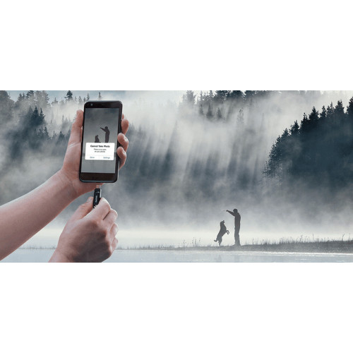 SanDisk Ultra Dual Drive Go unità flash USB 64...