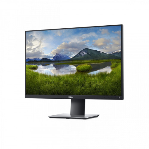 DELL P2421 61,2 cm (24.1") 1920 x 1200 Pixel...