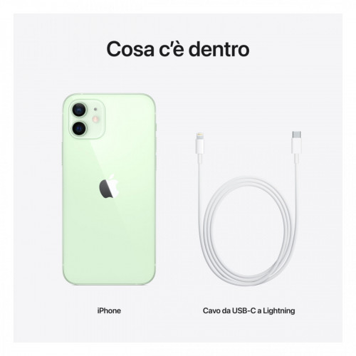 Apple iPhone 12 64GB Verde *ESTENSIONE...