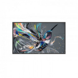 Philips 65BDL3550Q/00 visualizzatore di messaggi 165,1 cm (65") IPS 4K Ultra HD Android 8.0