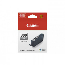 Canon PFI-300 Originale Grigio 1 pezzo(i)