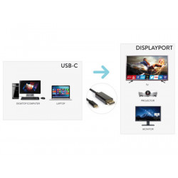 Hamlet XVAUC-DP4K20 cavo e adattatore video 2 m USB tipo-C DisplayPort Nero