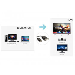 Hamlet XVADP12-DVAC cavo e adattatore video DisplayPort DVI Nero