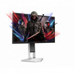 AOC AGON 1 AG251FZ2E Monitor PC 62,2 cm (24.5") 1920 x 1080 Pixel Full HD LCD Nero, Rosso