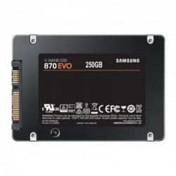 Samsung 870 EVO 250 GB Nero