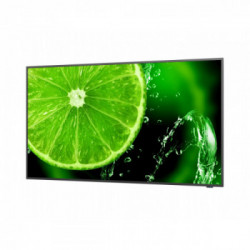 NEC MultiSync E658 165,1 cm (65") IPS 4K Ultra HD Nero